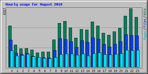 Hourly usage for August 2010