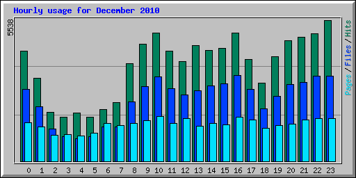 Hourly usage for December 2010