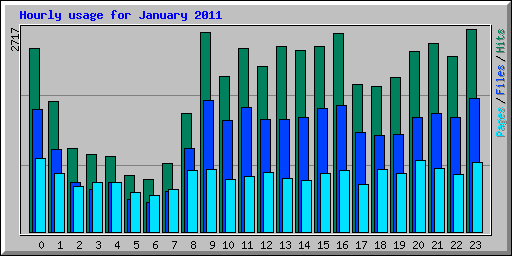 Hourly usage for January 2011